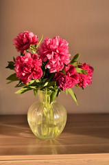 Fresh bouquet of pink peonies peony roses flowers in a vase on table in room. A gift to a mum's day. Sunny day background. Blossom wallpaper. Card, copy space.