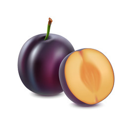 Plum on a white background. 3d vector realistic.