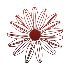 Beautiful flower symbol vector illustration graphic design