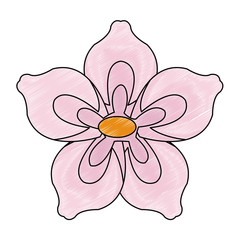 Beautiful flower symbol vector illustration graphic design