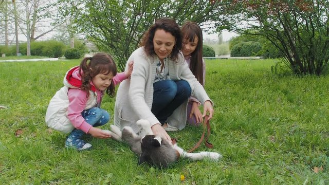Family with dogs in the park. Children with mother pat their dogs.