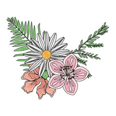 Beautiful flowers with leaves vector illustration graphic design