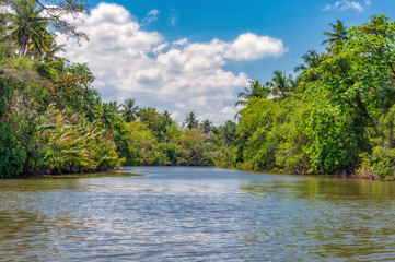 Dutch canal in Negombo.