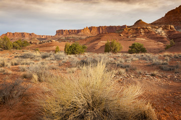 Rock Formations in the Capitol Reef National Park. Rich red sandstone formations are the star in this area of the Capitol Reef National Park. Sagebrush dots the landscape in this desert environment.