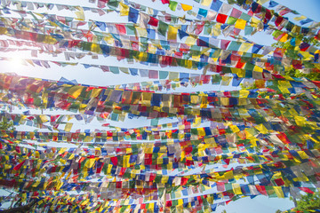 Prayer flags. Tibetan prayer flags. Abundance. Colorful flags under sun. Beautiful chaos. Buddhist prayer flags. 