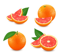 Set of isolated grapefruits. Realistic citrus image. 3d vector.