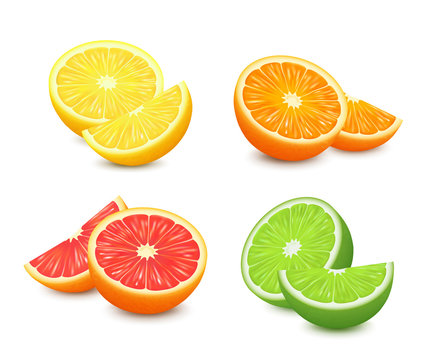 Fresh citrus fruits set. Orange grapefruit lemon lime isolated vector illustration. 3d realistic vector