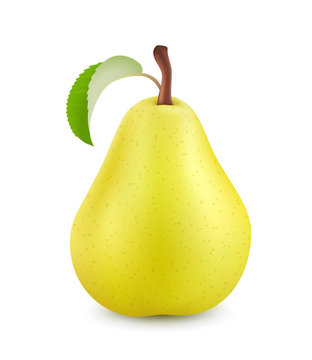 Pear isolated on white background. 3d realistic vector illustration.