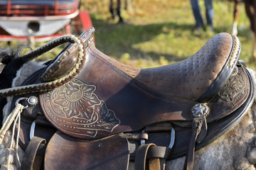 Details of saddle and harness