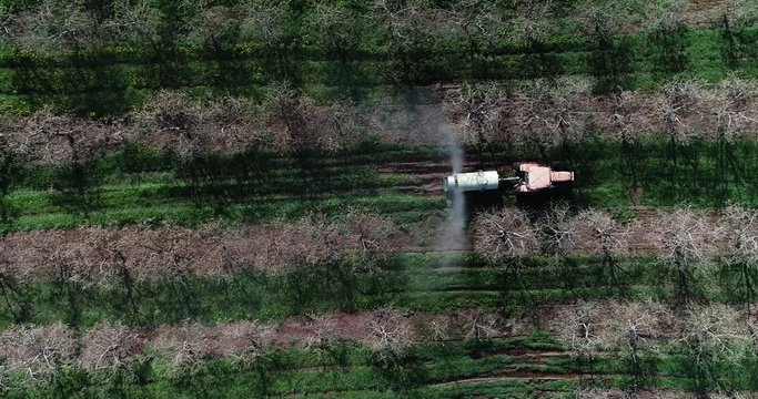 Aerial camera tracking along with tractor spraying for fire blight in a blossoming apple orchard.