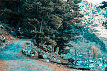 Fototapeta na wymiar Kashmir valley 