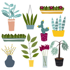 Set of cartoon green house plants in pots. Vector hand drawn illustration.