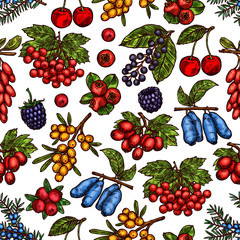 Vector garden and forest berries sketch pattern