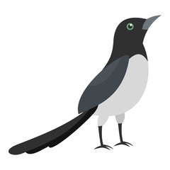 Fototapeta premium Magpie thief icon. Flat illustration of magpie thief vector icon for web