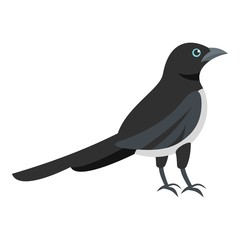 Black magpie icon. Flat illustration of black magpie vector icon for web