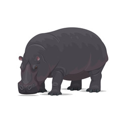 Fototapeta premium Hippopotamus vector African animal flat icon