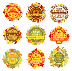 Autumn or fall sale vector leaf foliage icons