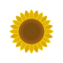 Ripe sunflower icon. Flat illustration of ripe sunflower vector icon for web