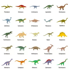 Foto op Plexiglas Jongenskamer Dinosaur typen ondertekend naam pictogrammen instellen. Vlakke afbeelding van 25 dinosaurustypes ondertekende naam vectorpictogrammen die op wit worden geïsoleerd