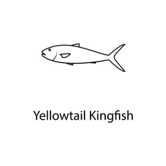 yellowtail kingfish icon. Element of marine life for mobile concept and web apps. Thin line yellowtail kingfish icon can be used for web and mobile. Premium icon