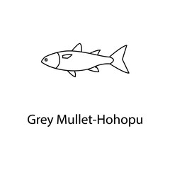 grey mullet-hohopu icon. Element of marine life for mobile concept and web apps. Thin line grey mullet-hohopu icon can be used for web and mobile. Premium icon