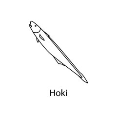 hoki icon. Element of marine life for mobile concept and web apps. Thin line hoki icon can be used for web and mobile. Premium icon