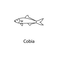 cobia icon. Element of marine life for mobile concept and web apps. Thin line cobia icon can be used for web and mobile. Premium icon