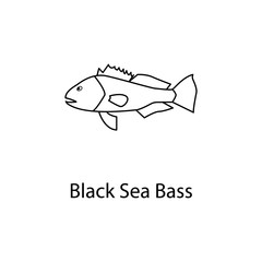 black sea bass icon. Element of marine life for mobile concept and web apps. Thin line black sea bass icon can be used for web and mobile. Premium icon