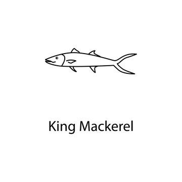 king mackerel icon. Element of marine life for mobile concept and web apps. Thin line king mackerel icon can be used for web and mobile. Premium icon