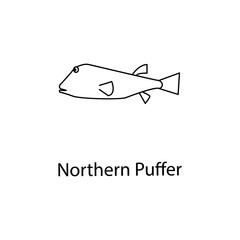 northern puffer icon. Element of marine life for mobile concept and web apps. Thin line northern puffer icon can be used for web and mobile. Premium icon