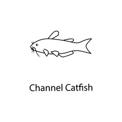 channel catfish icon. Element of marine life for mobile concept and web apps. Thin line channel catfish icon can be used for web and mobile. Premium icon