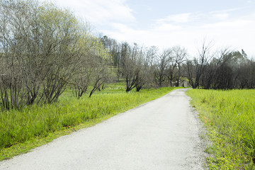 Dirt road in the village