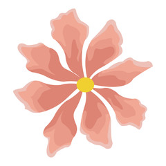 Beautiful flower symbol vector illustration graphic design