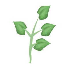 Obraz premium Bouquet of leaves vector illustration graphic design