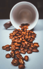 Granos de café en la taza