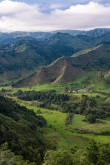 Fototapeta premium Vallée de Cocora depuis le mirador de Salento