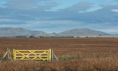 Gate of farm property