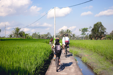 Obraz premium Cycling On Rice Fields