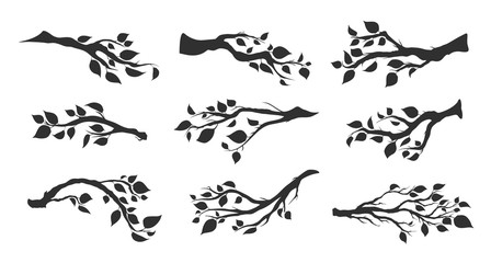 Naklejka premium tree branches with leaves isolated