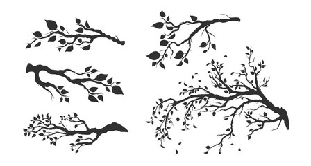 tree branches with leaves isolated