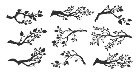 tree branches with leaves isolated