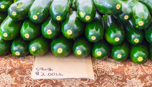 close up of rows of ripe green squash with a simple cardboard misspelled sign at a farmer's market