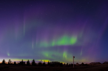 Canadian Northern Lights