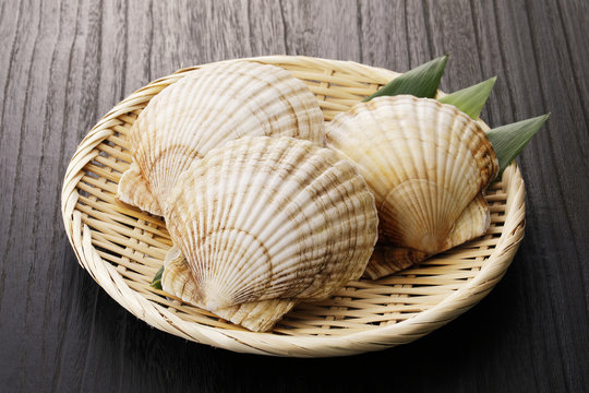 ほたて貝　Scallops