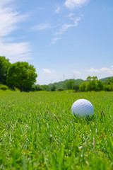 Golf Course where the turf is beautiful and Golf Ball on fairway. Golf course with a rich green turf beautiful scenery.