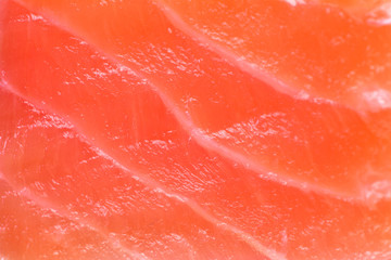 Fish salmon texture
