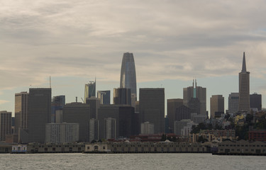 Fototapeta premium San Fransisco Skyline