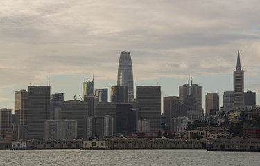 San Fransisco Skyline