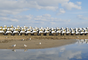 カモメ　消波ブロック　浜　空　雲　素材