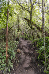 Tongariro alpine crossing, New Zealand